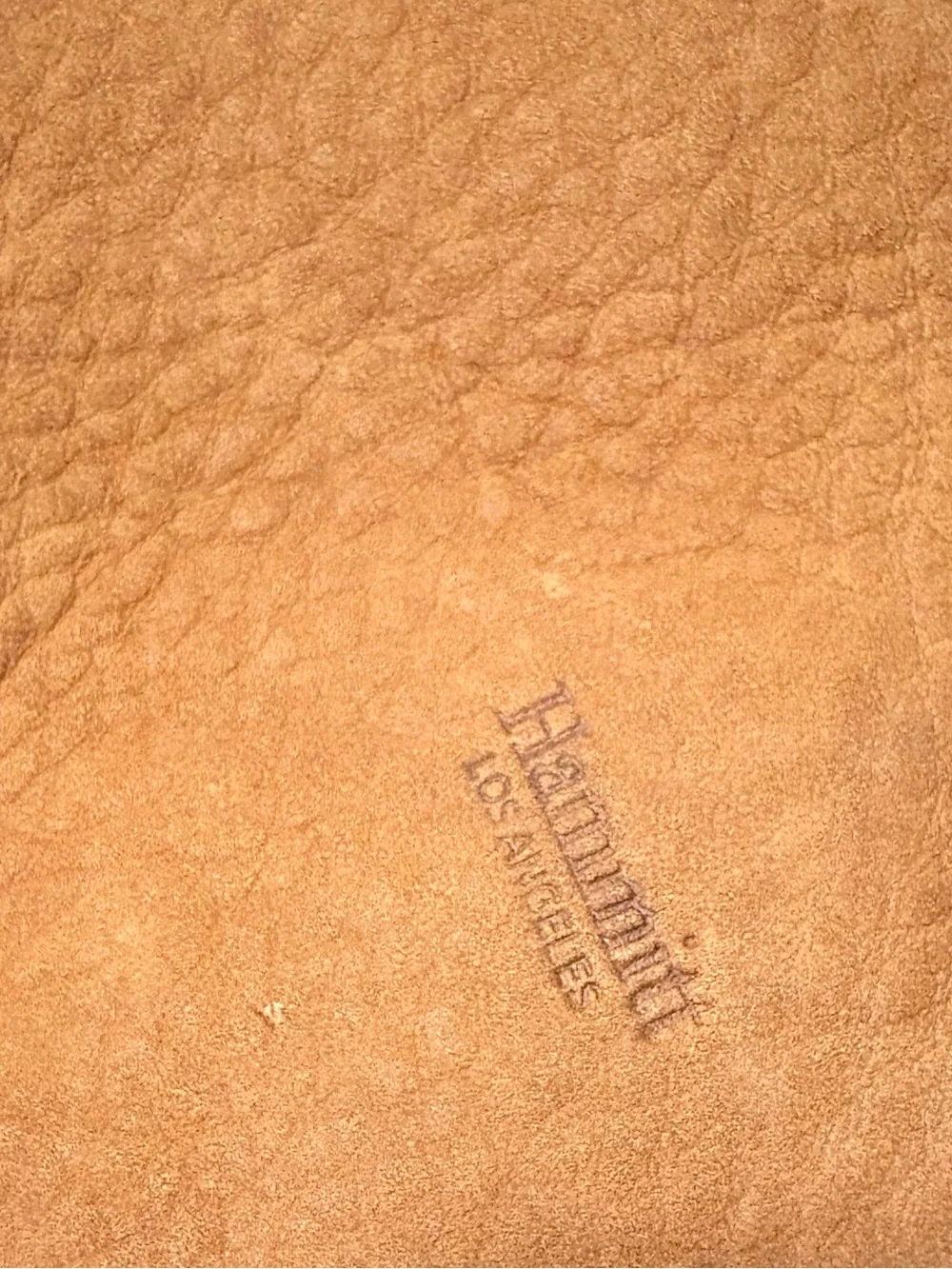 Hammitt Suede Hobo with Gold Hardware